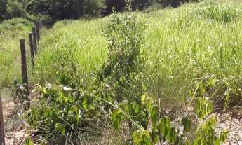 Imagem 4: Sítio de 30 mil metros próximo de moc