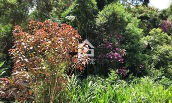 Imagem: Área 397.103 m², a 1,5 km da BR 116 São