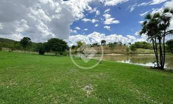 Imagem 7: Goiás - Fazenda de 45.5 Alqueires codigo: 141280