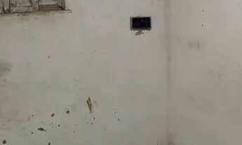 Imagem 5: Casa no Novo Amarante