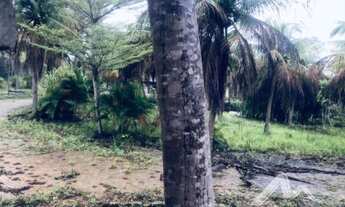 Imagem 5: NISIA FLORESTA/RN Lote com 591,98m² no Condomínio Veredas do Lago Azul