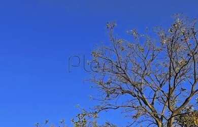 Imagem 3: Terreno à venda em Campinas, Loteamento Residencial Pedra Alta (Sousas), com 1090 m²