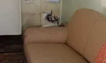 Imagem 7: APARTAMENTO NO HOTEL QUITANDINHA