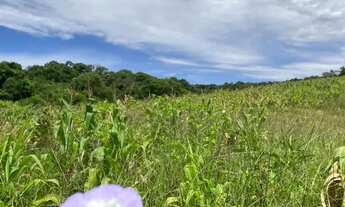 Imagem 5: Ds(terreno para venda tem 1000 metros quadrados em Rio de Una - Ibiúna - SP