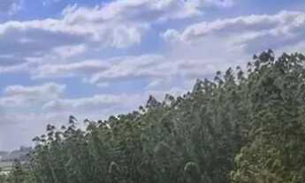 Imagem 6: VENHA VISITAR NOSSO LANÇAMENTO E ESCOLHA O MELHOR TERRENO! AGENDE E CONHEÇA TODOS OS DETAL