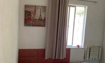 Imagem 5: Mata atlântica 2