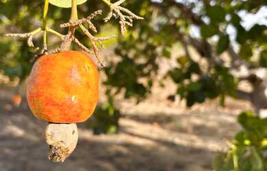 Imagem 2: Sítio em Lagoa Nova