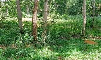 Imagem 2: Terreno Comercial as margens da MG 010