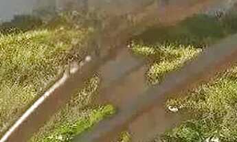 Imagem 3: Lote à Venda no Bairro São Cosme Belo Horizonte