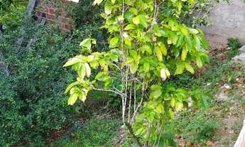 Imagem 5: Casa a venda em cajazeiras 11, ponto 11, condomínio fechado valor R$155.000,00