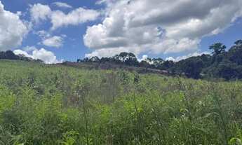 Imagem 5: Terrenos para venda possui 500 metros quadrados com 1 quarto em Colégio - Ibiúna - SP