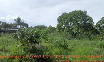 Imagem: Chácara 4 km da cidade de Cuiabá