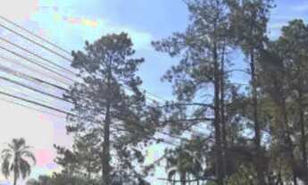 Imagem 6: Terreno de 2000 metros quadrados a 50 metros da rodovia índio Tibiriçá