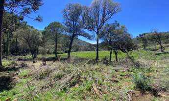 Imagem 5: Urubici- Terreno