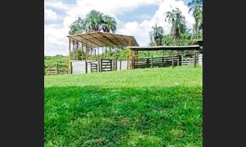 Imagem 5: 2,36 alqueires - cultura