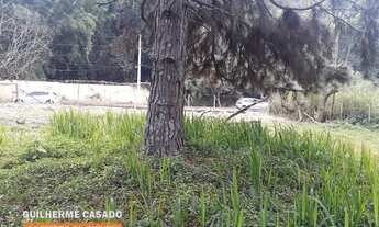 Imagem 7: Terreno Plano De 2.000M2