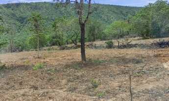 Imagem 3: Fazenda a venda 190Alq. "919Ha." Plana."lavoura" / Minaçu/Go