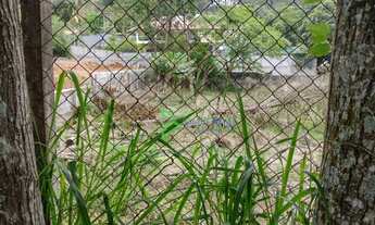 Imagem 3: Terreno à venda, 536 m² por R$ 365.000,00 - Chácara Jaraguá - São Paulo/SP