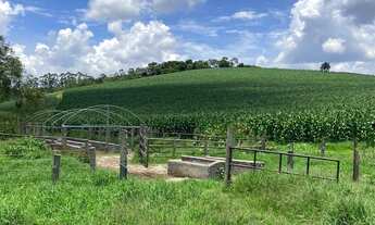 Imagem 2: Vendo -12 alqueires em Guararema