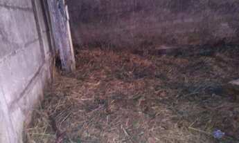 Imagem 7: Terreno - Betim - MG - Santa Fé