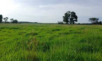 Imagem 2: Fazenda/Sítio/Chácara para venda tem 400000 metros quadrados em Centro - Itapetininga - SP