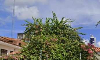 Imagem 3: Ideal para clínicas, consultórios ou empresarial!