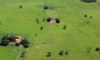 Imagem 4: Fazenda a venda com 170 alqueires a 15km de Selvíria
