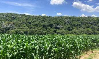 Imagem 7: Vendo -12 alqueires em Guararema