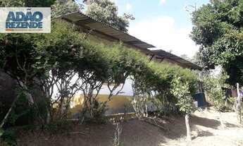 Imagem 7: Excelente propriedade em Pessegueiros