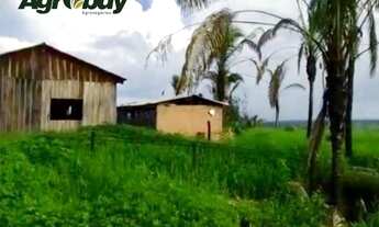 Imagem 5: Fazenda 1033 Alqueires em Dianópolis to