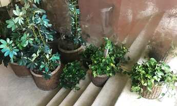 Imagem 6: Cobertura duplex