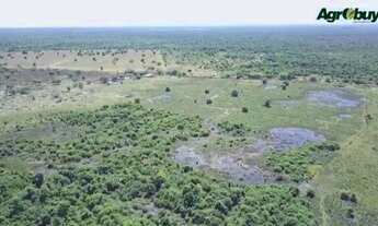 Imagem 3: Fazenda Localizada no Município de Nova Crixas