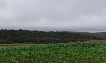 Imagem 2: Fazenda/Sítio/Chácara para venda com 640000 metros quadrados em Biritiba Ussu - Mogi das C