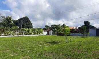 Imagem 6: Casa com 4 dormitórios para alugar, 250 m² por R$ 4.000/mês - Aldeia dos Camarás - Camarag