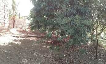 Imagem 2: Casa em sítio sem acabamento