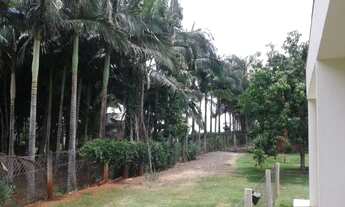 Imagem 5: Aluga-se casa na chácara em Maringá, ao lado Duzentão Auto Peças/faculdade Uningá