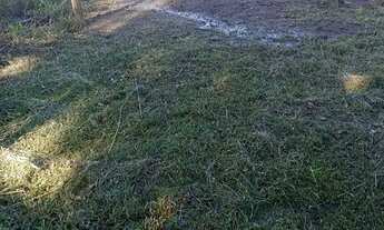 Imagem 5: Vendo ou troco terreno em Imbituba, sambaqui