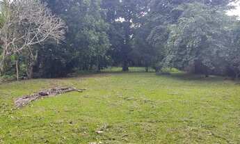 Imagem 3: Vendo Sítio Chácara com venda por R$380.000