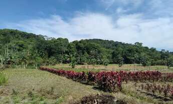 Imagem 2: SITIO COM 1 HECTARE DE TERRA FÉRTIL E MUITA ÁGUA