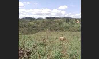 Imagem 5: Terra 5,5 Alqueires, formada, boa de água, possui casa, curral, energia