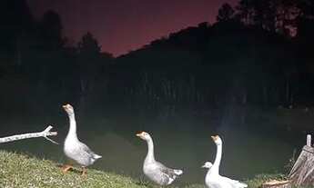 Imagem 4: Troco ou vendo, chácara com casa de 3 quartos, oportunidade !