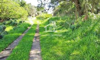 Imagem 7: Sítio em Conceição do Pará 60 mil metros com excelente propriedade e muita água