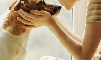 Imagem 7: Faça sua proposta p/ terreno quitado 437,9m² Tamboré Uberlândia - Particular