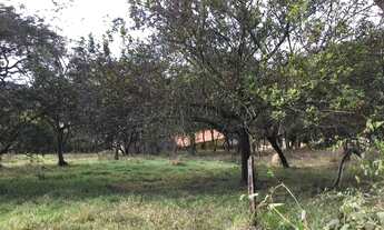 Imagem 4: Terreno para venda c/ 7730 m2 B. Jardim Anchieta - Sarzedo - MG