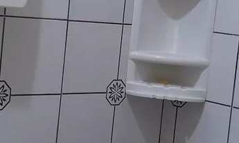 Imagem 2: Aluguel de casas e apartamentos em Pinheiro ma