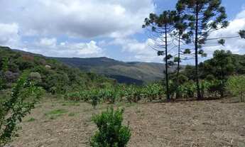 Imagem 6: Vende se um sítio