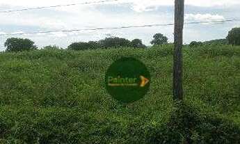 Imagem 6: Fazenda à venda, 8615200 m² por R$ 40.000.000,00 - Zona Rural - Santa Fé de Goiás/GO