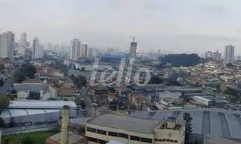 Imagem 6: São Paulo - Apartamento Padrão - Cursino