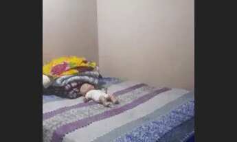 Imagem 4: Vendo casa grande e confortável