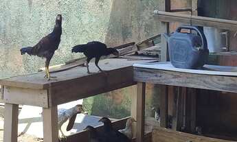 Imagem 6: Casa de condomínio térrea para venda possui 180 metros quadrados com 2 quartos